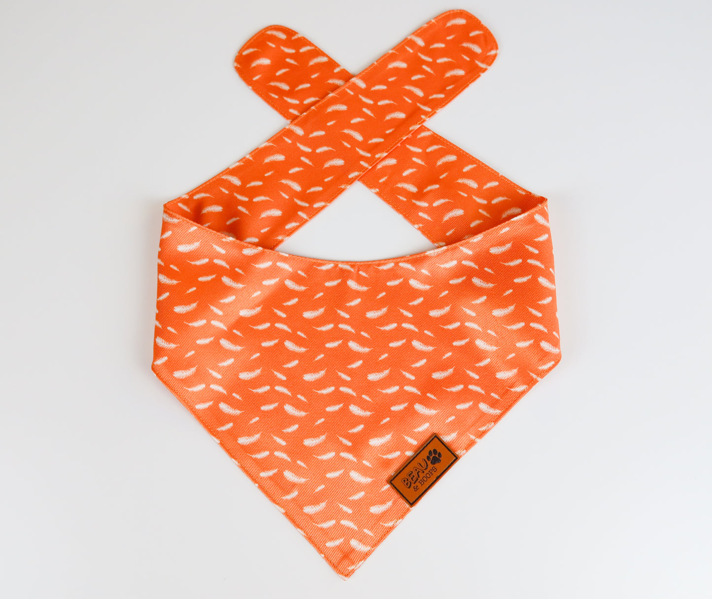 Feathered Mischief - Pet Bandana