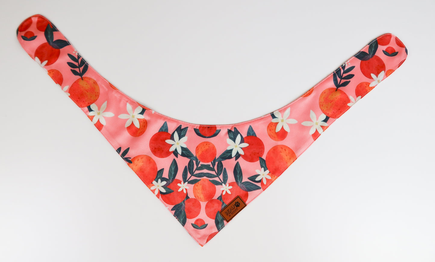 Orange You Glad - Pet Bandana
