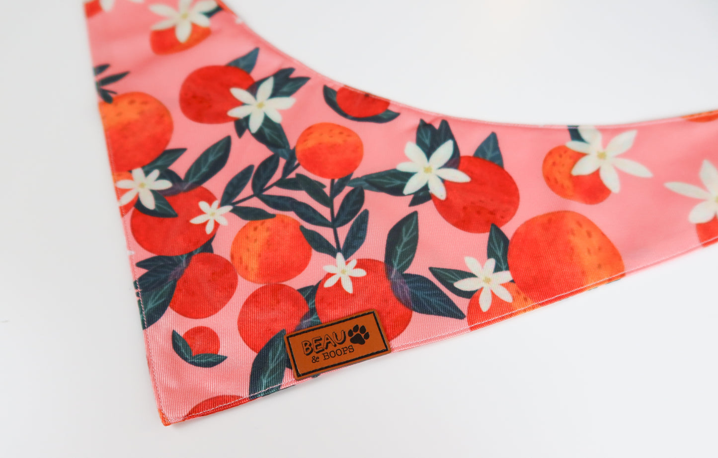Orange You Glad - Pet Bandana