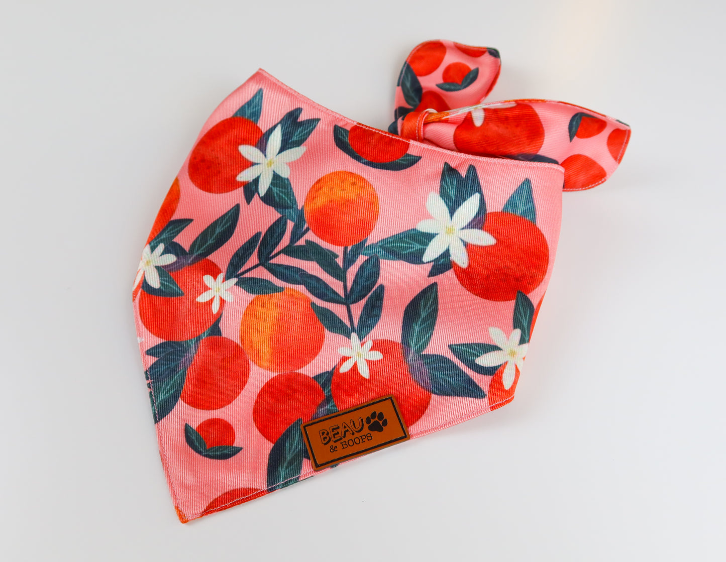 Orange You Glad - Pet Bandana