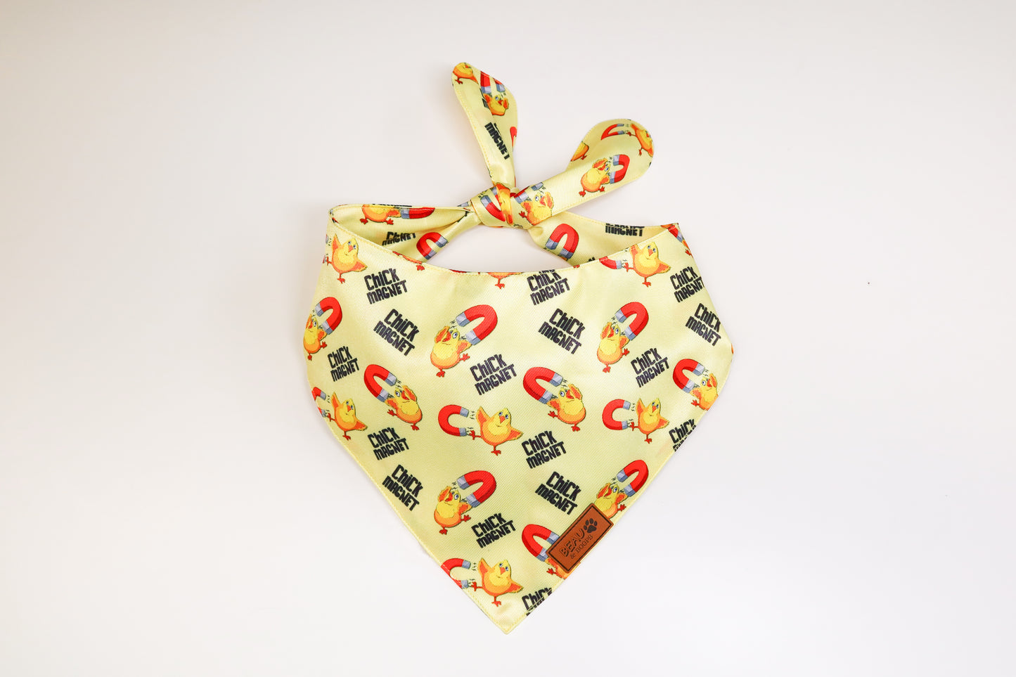 Chick Magnet - Pet Bandana