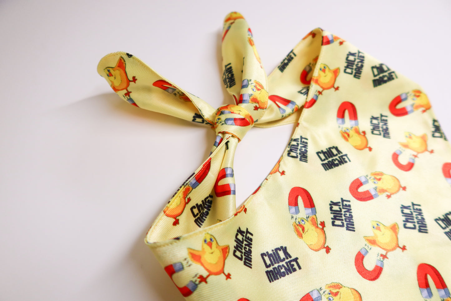 Chick Magnet - Pet Bandana