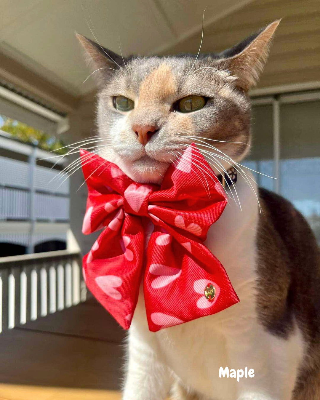 The Rizzler - Sailor Bow