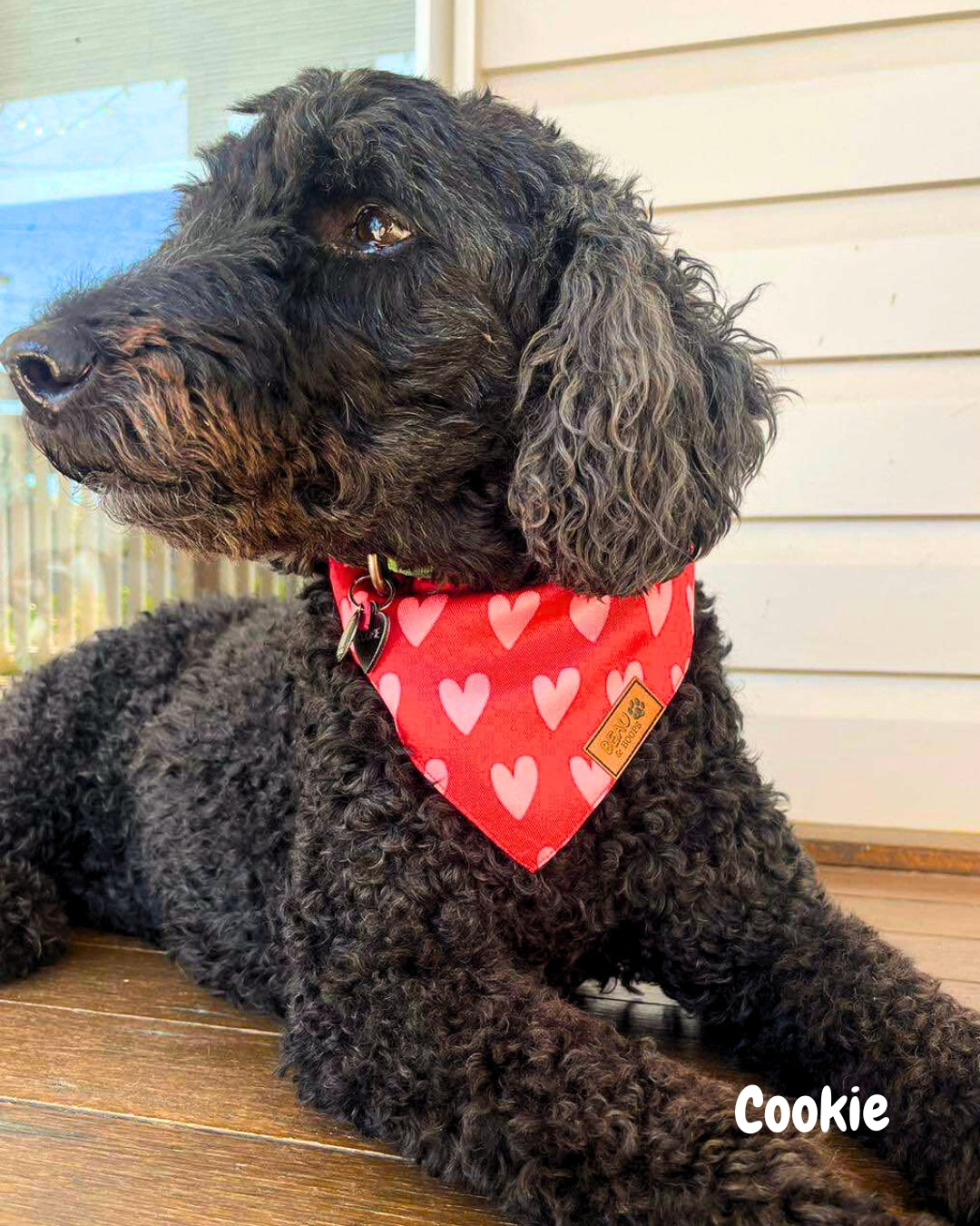 The Rizzler - Pet Bandana
