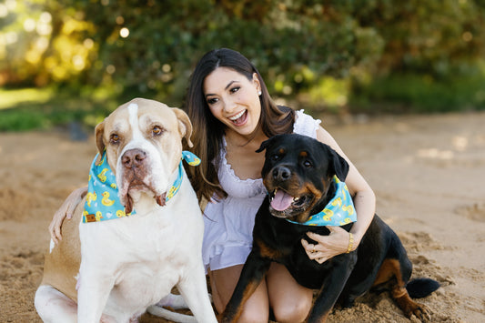 THE ULTIMATE PET BANDANA