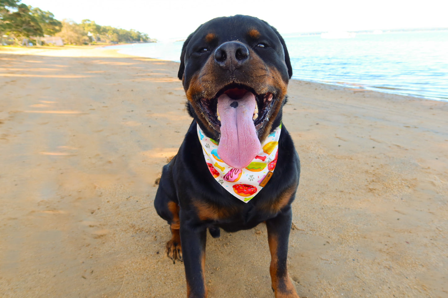 Go Do'Nuts - Pet Bandana