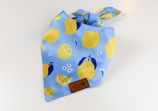 Life's a Lemon - Pet Bandana