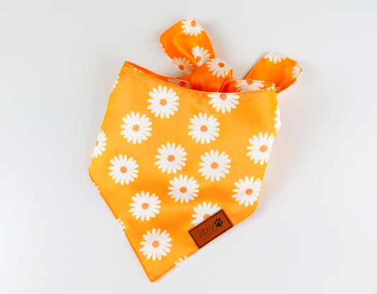Sunny Petals - Pet Bandana