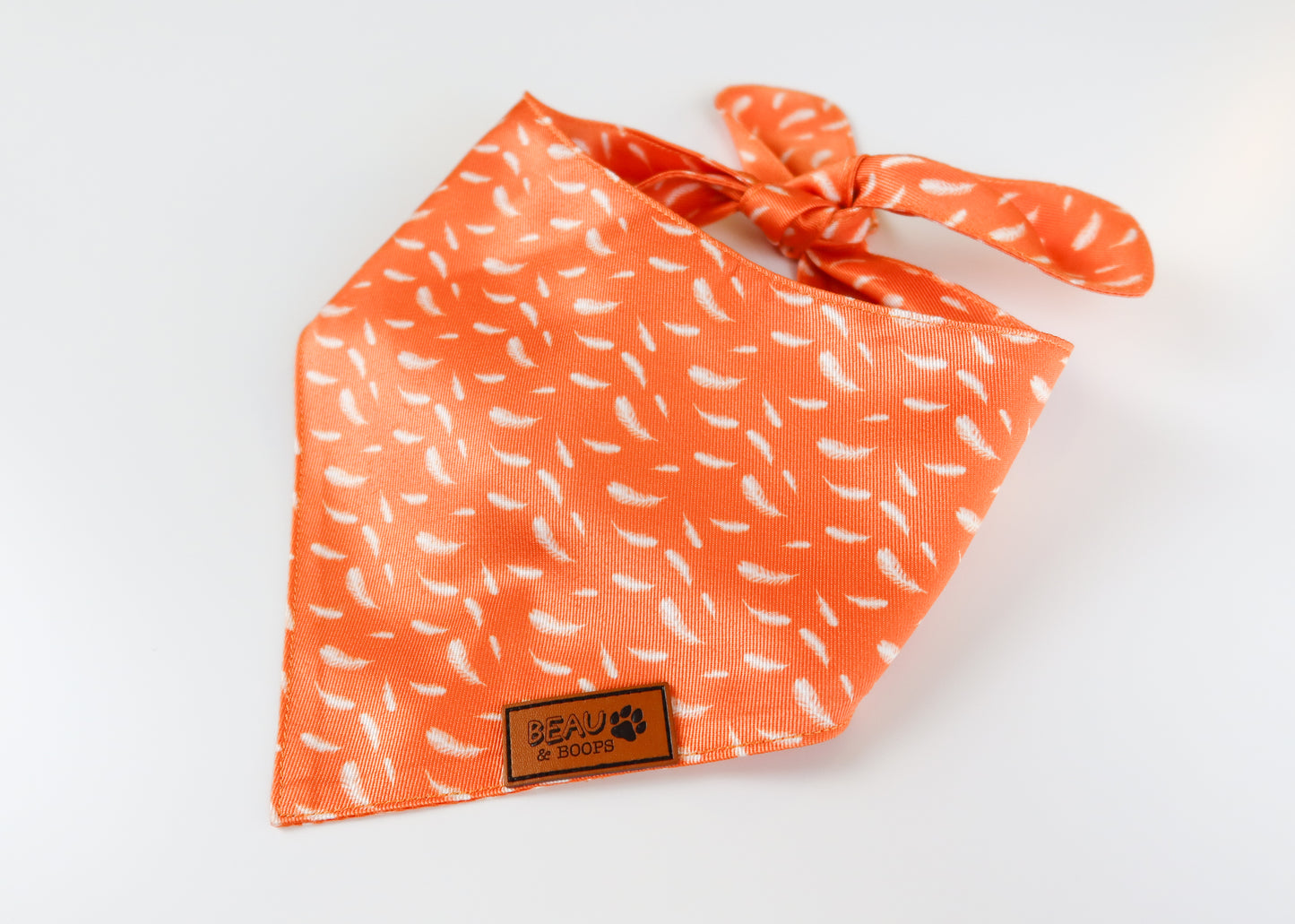 Feathered Mischief - Pet Bandana