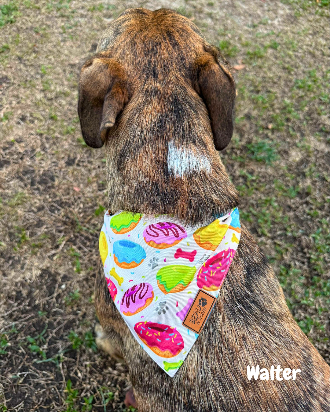 Go Do'Nuts - Pet Bandana